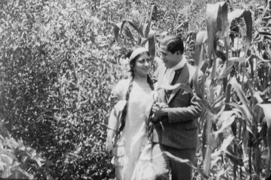 Amor de luis pardo